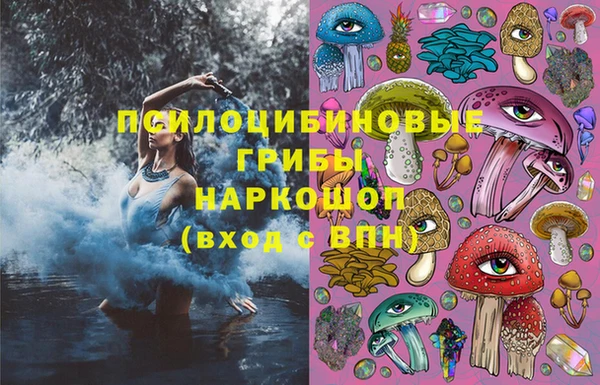 МДПВ Бородино