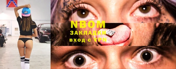 МДПВ Бородино