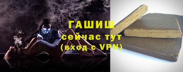 МДПВ Бородино