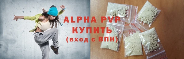 МДПВ Бородино