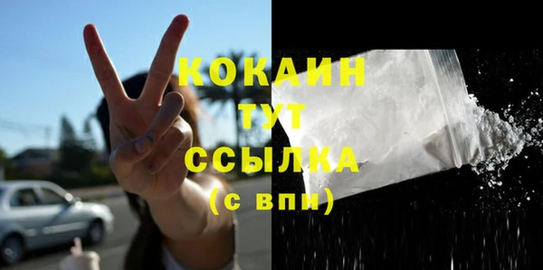 МДПВ Бородино