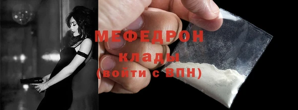 МДПВ Бородино