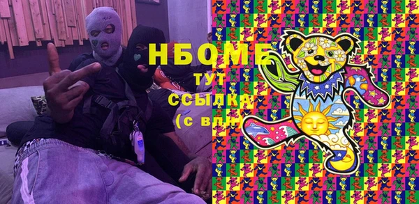 МДПВ Бородино