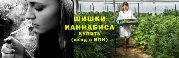МДПВ Бородино