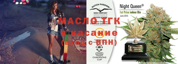 МДПВ Бородино
