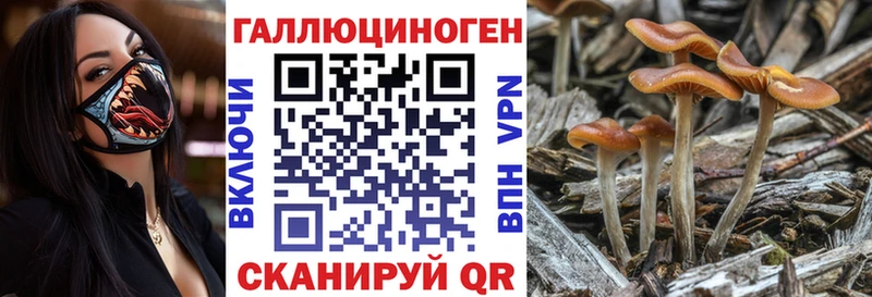 Галлюциногенные грибы мухоморы  Брянск 